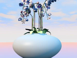high quality orchid 3D Model