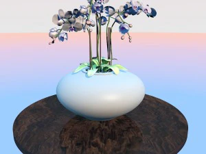 high quality orchid 3D Model