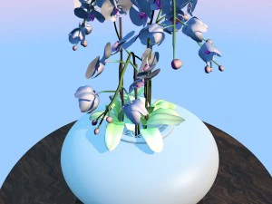 high quality orchid 3D Model