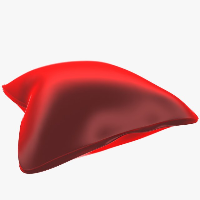 pillow 3D-Modell .c4d .max .obj .3ds .fbx .stl .blend 