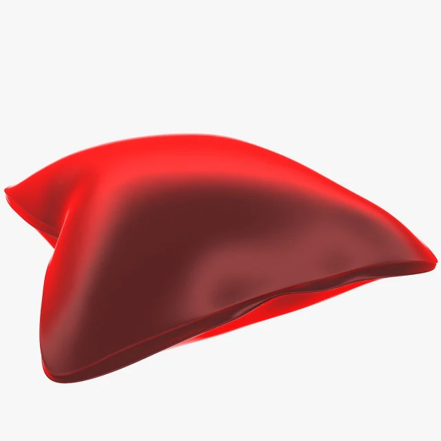 pillow 3D Model .c4d .max .obj .3ds .fbx .stl .blend 