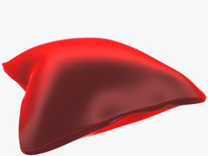 pillow 3D Model