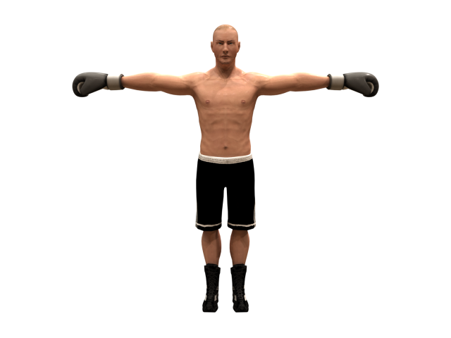 boxer rig 3D Модель .c4d .max .obj .3ds .fbx .stl .blend 