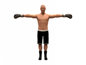 boxer rig 3D 모델