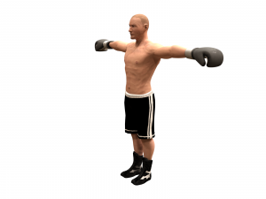 boxer rig 3D Модель