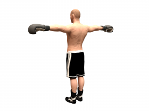 boxer rig 3D Модель
