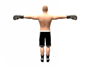 boxer rig 3D Модель