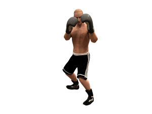 boxer rig 3D Модель