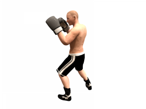 boxer rig 3D Модель