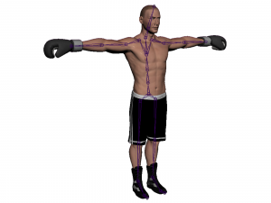 boxer rig 3D Модель