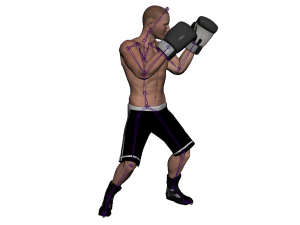 boxer rig 3D Модель