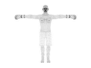 boxer rig 3D Модель