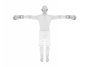 boxer rig 3D Модель