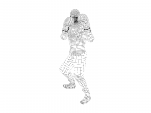 boxer rig 3D Модель