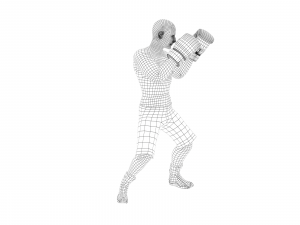 boxer rig 3D Модель