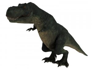 tiranossauro rex Modelo 3D