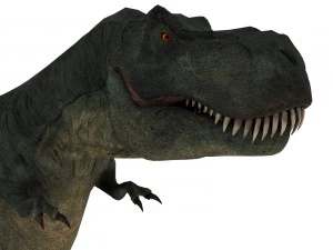 tiranossauro rex Modelo 3D