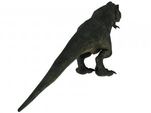 tyrannosaurus rex 3D Model