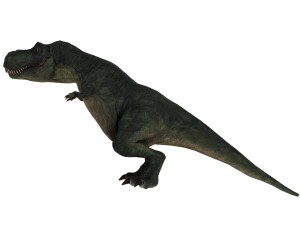 tyrannosaurus rex 3D Model