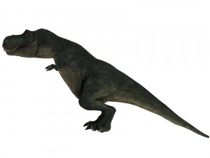 tiranossauro rex Modelo 3D