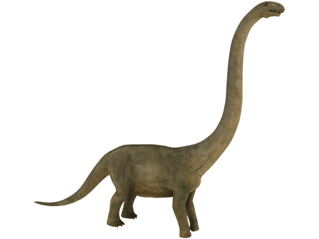 brontosaurus 3D Model .c4d .max .obj .3ds .fbx .stl .blend 