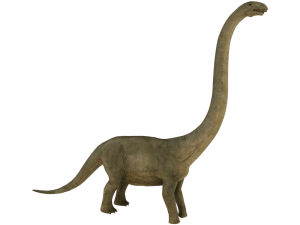 brontosaurus 3D 모델