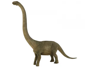 brontosaurus 3D Model
