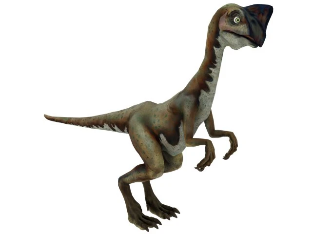 oviraptor 3D Model .c4d .max .obj .3ds .fbx .stl .blend 