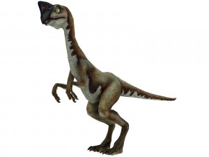 oviraptor Modèle 3D