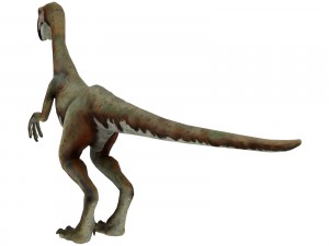 oviraptor Modèle 3D
