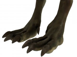oviraptor 3D Model