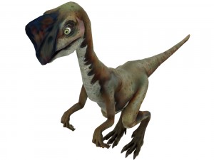 oviraptor Modèle 3D