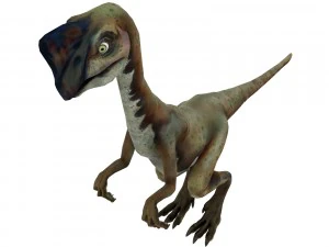 oviraptor 3D Model