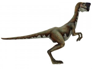 oviraptor Modèle 3D
