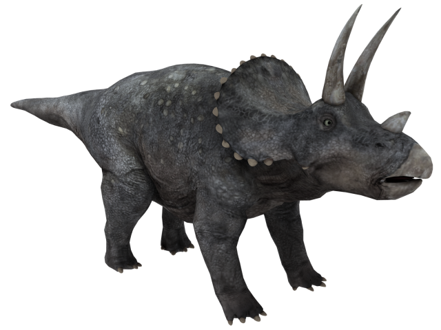 triceratops 3D Model .c4d .max .obj .3ds .fbx .stl .blend 