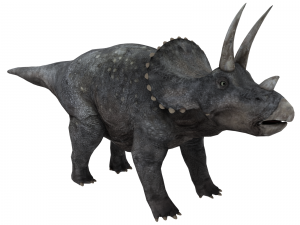 triceratops 3D मॉडल