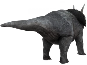 triceratops 3D Model