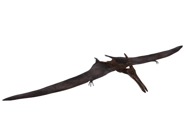 pterozorlar 3D Model .c4d .max .obj .3ds .fbx .stl .blend 