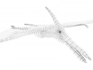 pterozorlar 3D Model