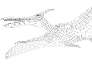 pterozorlar 3D Model