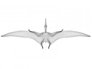 pterosaurs 3D Model