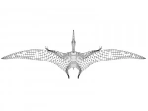 pterozorlar 3D Model