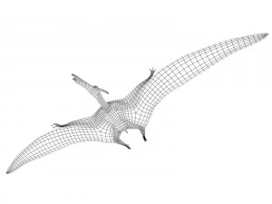 pterozorlar 3D Model