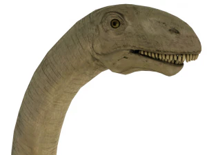 dinosaur 3D Model