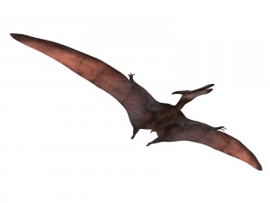 dinosaur 3D Model