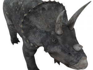 dinosaur 3D Model