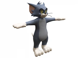 टॉम 3D मॉडल