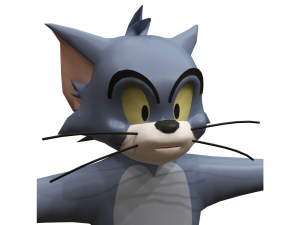 tom 3D Model