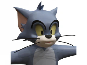 टॉम 3D मॉडल