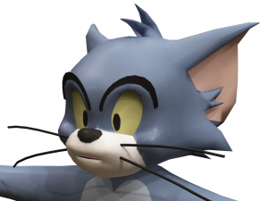 tom 3D Model